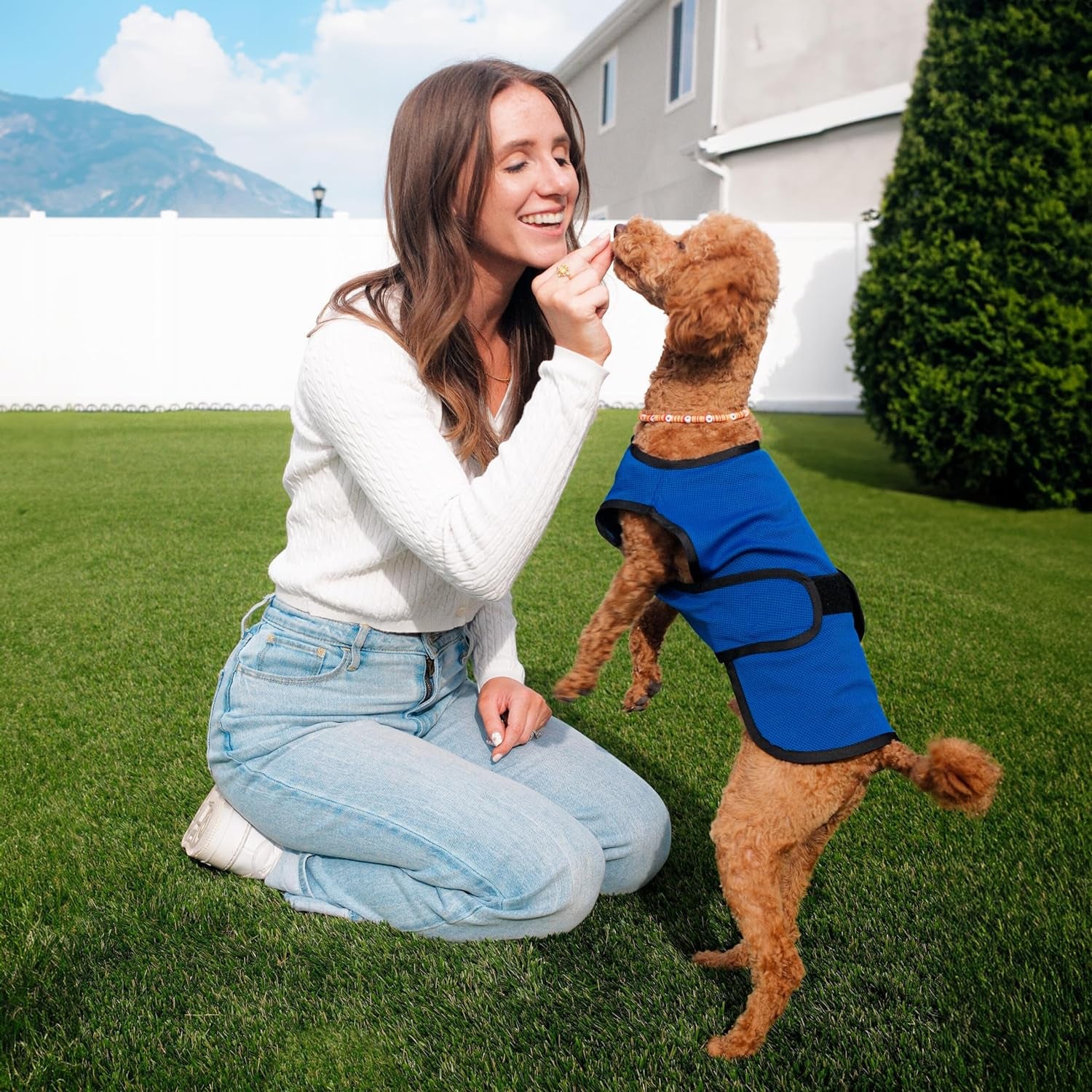 Dog Cooling Vest. Lightweight Jacket with Evaporative Cool Microfiber Technology, UV Protection Shirt for Beach, Sizing for Small, Medium and Large Dogs (XS, Dark Blue)