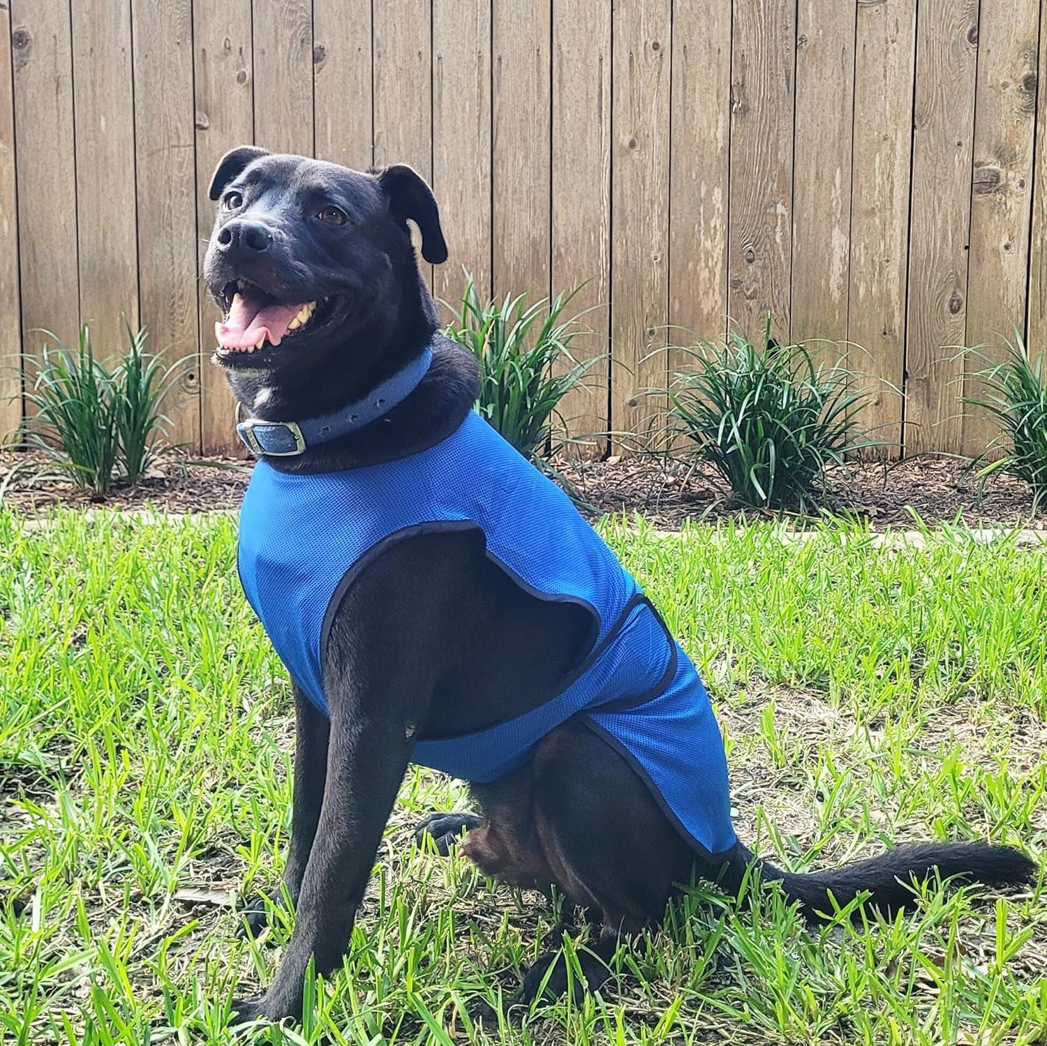 Dog Cooling Vest. Lightweight Jacket with Evaporative Cool Microfiber Technology, UV Protection Shirt for Beach, Sizing for Small, Medium and Large Dogs (XS, Dark Blue)