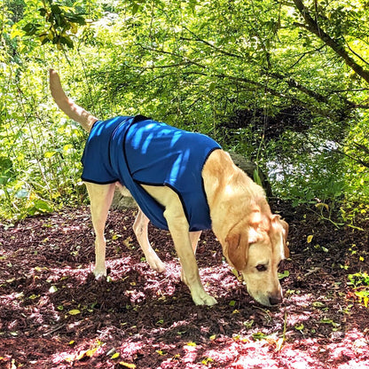 Dog Cooling Vest. Lightweight Jacket with Evaporative Cool Microfiber Technology, UV Protection Shirt for Beach, Sizing for Small, Medium and Large Dogs (XS, Dark Blue)