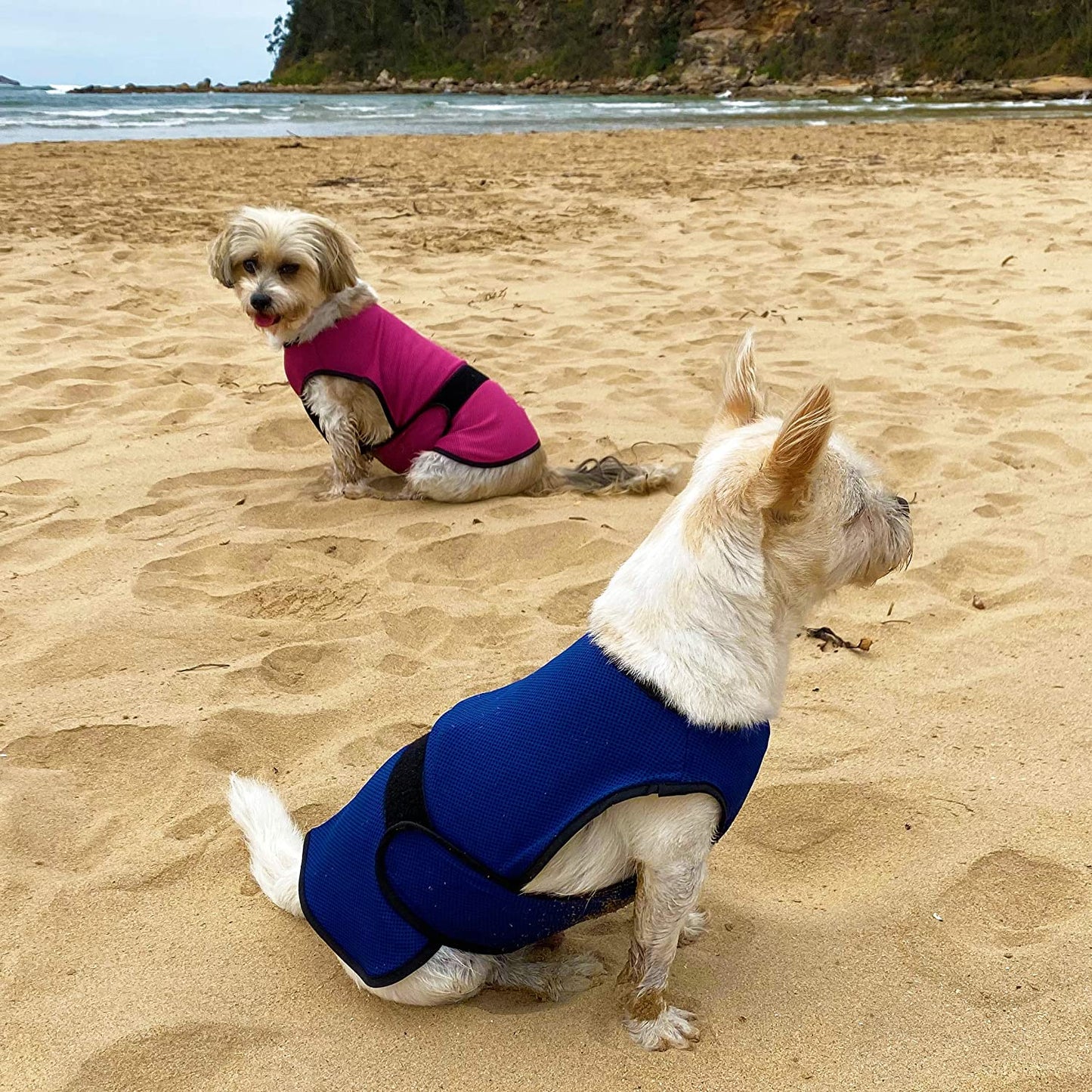 Dog Cooling Vest. Lightweight Jacket with Evaporative Cool Microfiber Technology, UV Protection Shirt for Beach, Sizing for Small, Medium and Large Dogs (XS, Dark Blue)